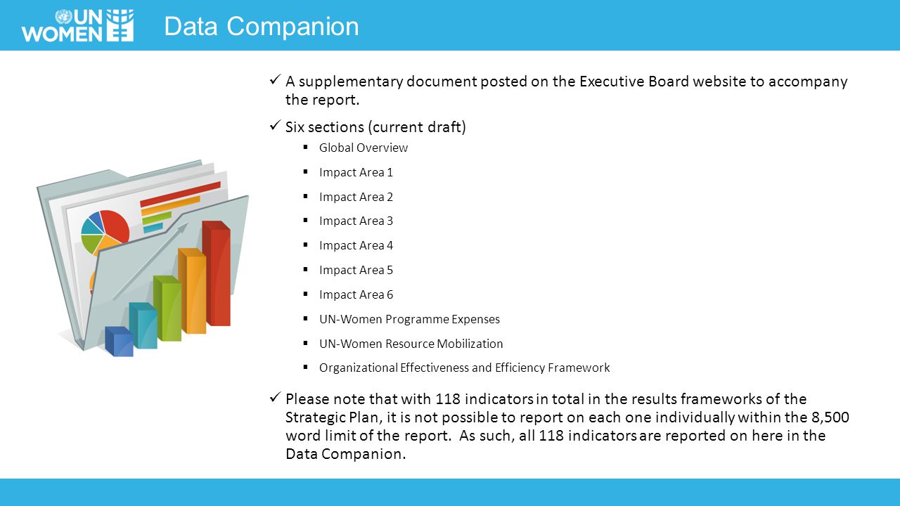 Data Companion A supplementary document posted on the Executive Board website to accompany the report.