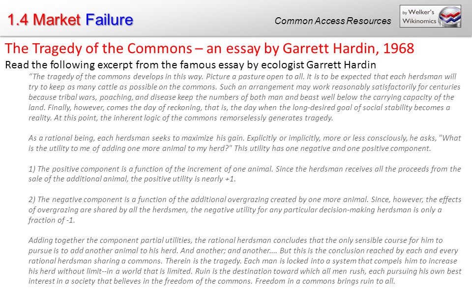 add excerpts essay add excerpts essay