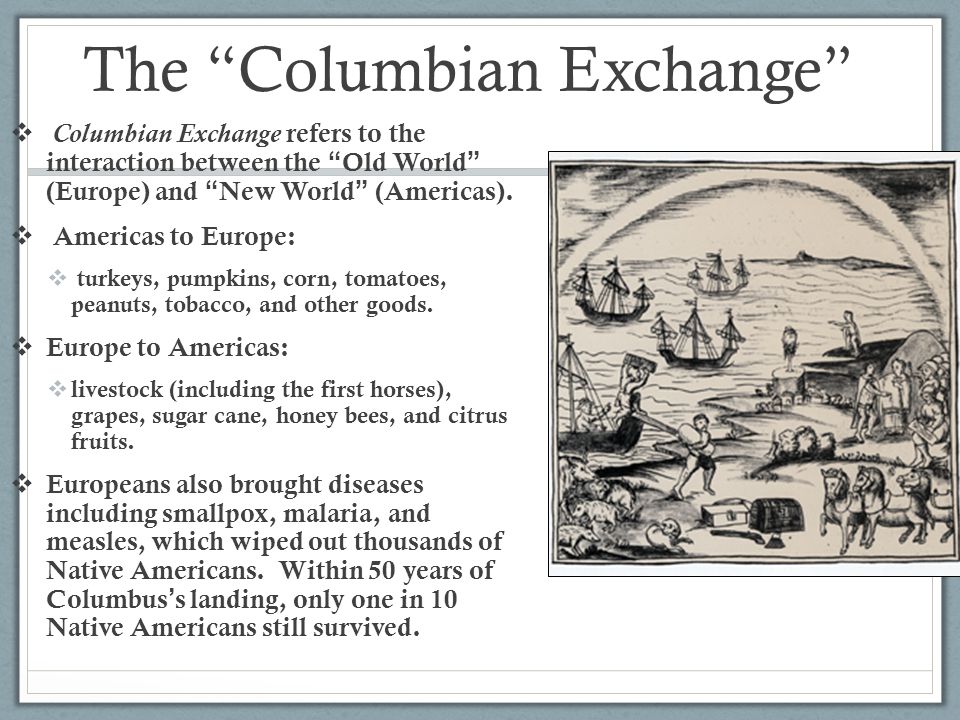 consequences of the columbian exchange essay Read columbian exchange free essay and over 87,000 other research documents columbian exchange the columbian exchange was a. consequences of the columbian exchange essay Read columbian exchange free essay and over 87,000 other research documents columbian exchange the columbian exchange was a.