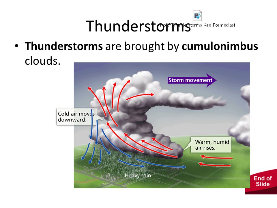 - Storms Thunderstorms Thunderstorms are brought by cumulonimbus clouds.