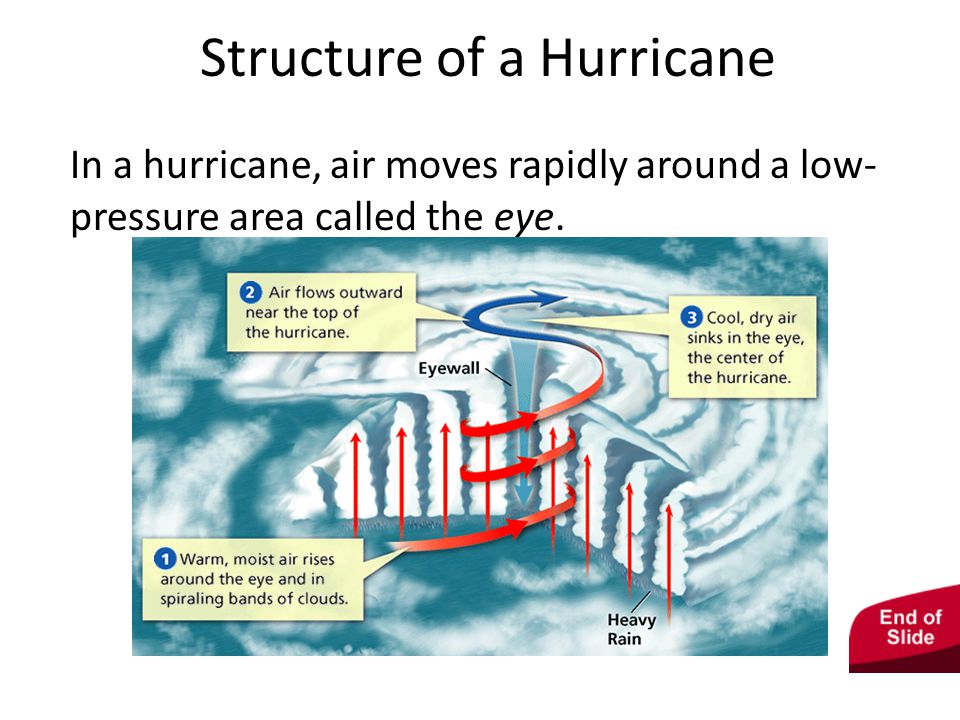 - Storms Structure of a Hurricane In a hurricane, air moves rapidly around a low- pressure area called the eye.