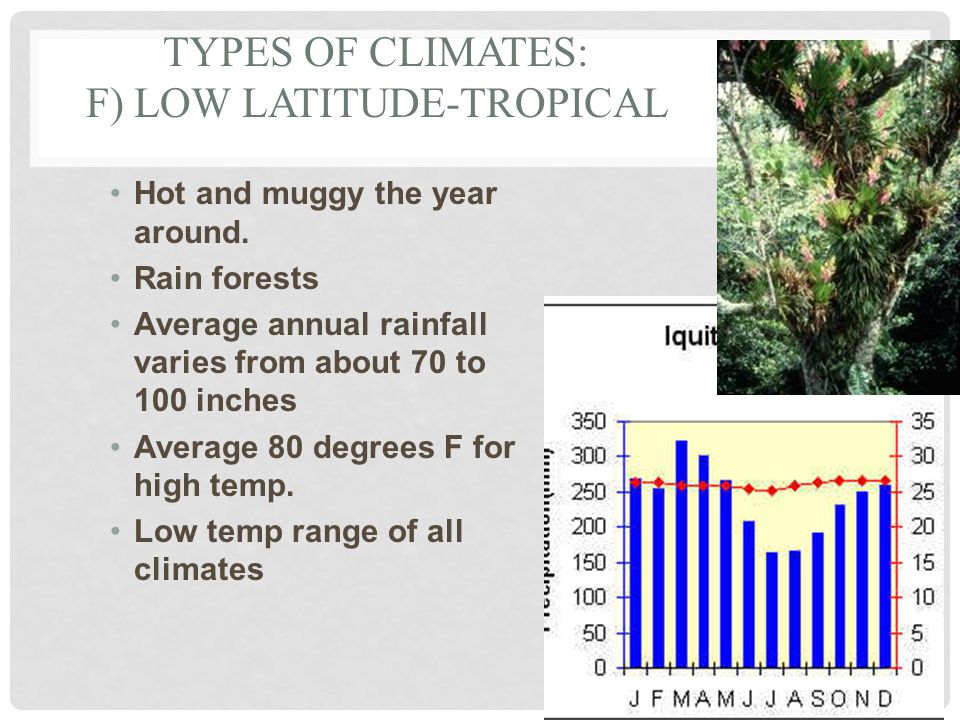 TYPES OF CLIMATES: F) LOW LATITUDE-TROPICAL Hot and muggy the year around.