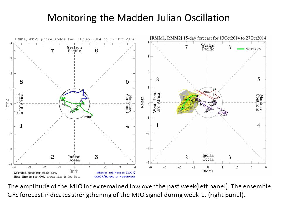 Time Longitude Monitoring the Madden Julian Oscillation The amplitude of the MJO index remained low over the past week(left panel).