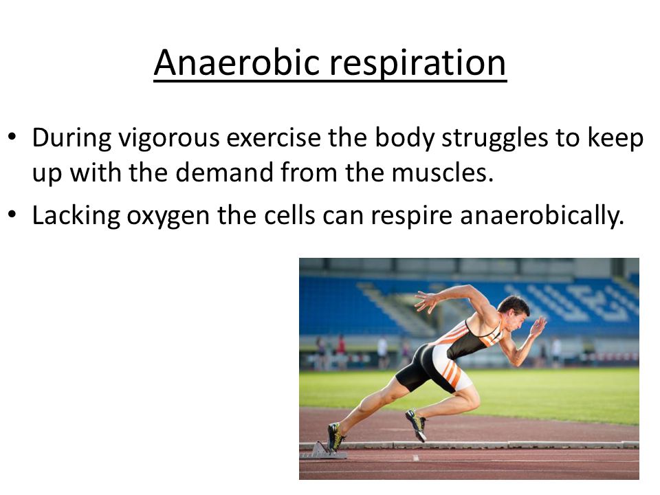 Respiration And Exercise What Is Aerobic The Process 9 Anaerobic Respiration