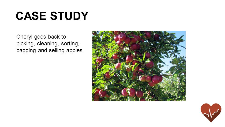 Cheryl goes back to picking, cleaning, sorting, bagging and selling apples. CASE STUDY