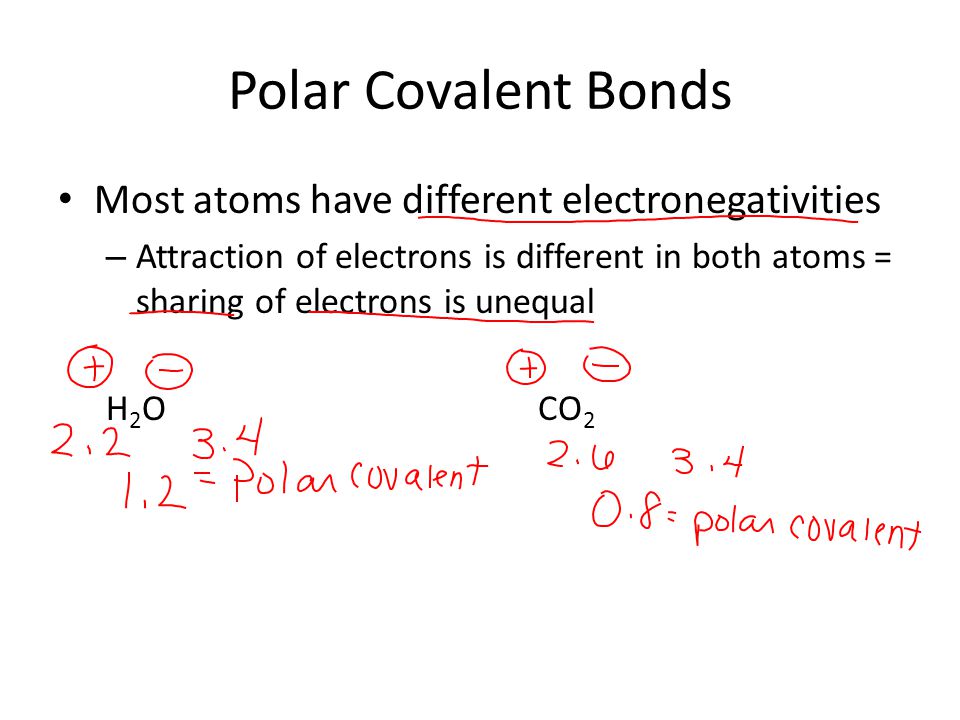 Polar Covalent Bonds Most atoms have different electronegativities – Attraction of electrons is different in both atoms = sharing of electrons is unequal H 2 OCO 2