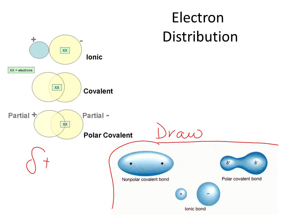 Electron Distribution