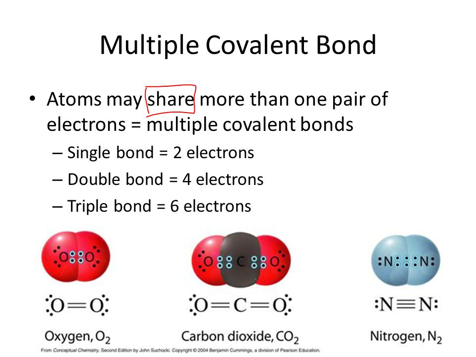 Multiple Covalent Bond Atoms may share more than one pair of electrons = multiple covalent bonds – Single bond = 2 electrons – Double bond = 4 electrons – Triple bond = 6 electrons