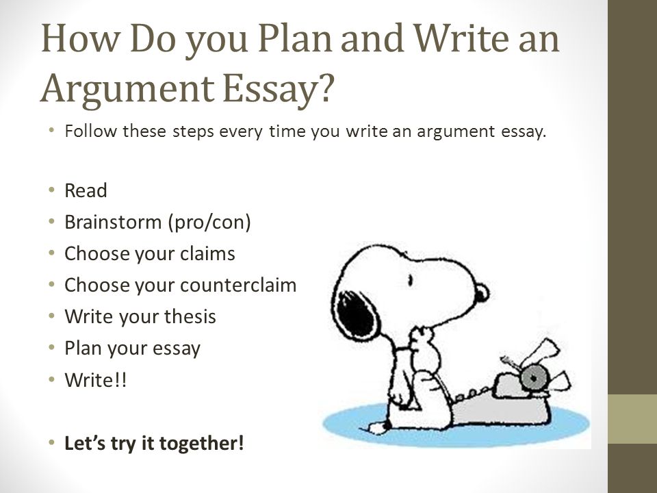 Easy essay writer for argumentative