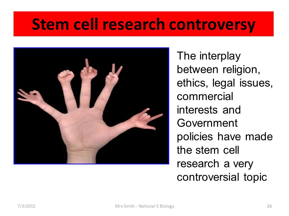 is stem cell research ethical essay is stem cell research ethical essay