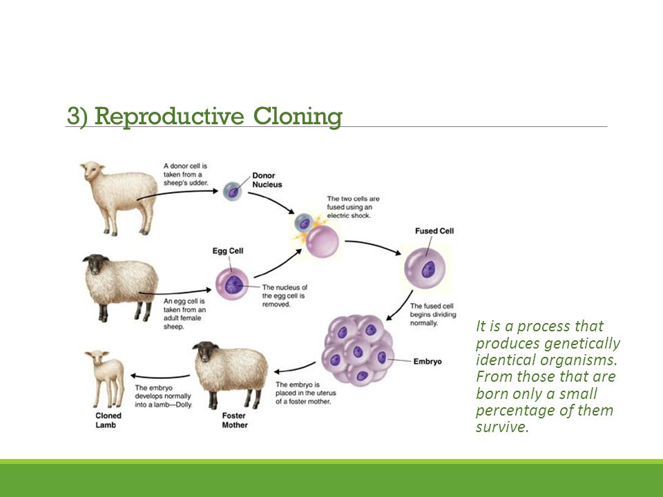 It is a process that produces genetically identical organisms.