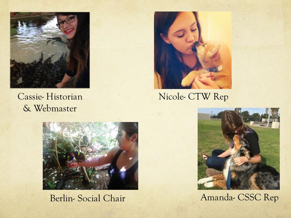 Amanda- CSSC Rep Berlin- Social Chair Cassie- Historian & Webmaster Nicole- CTW Rep