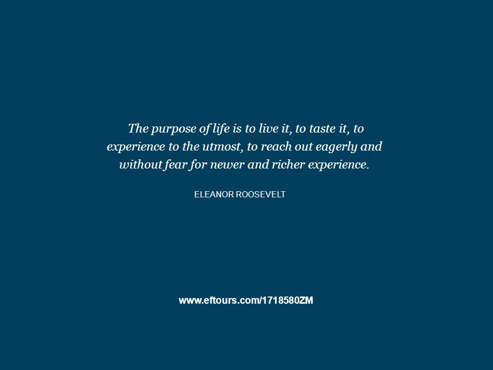 The purpose of life is to live it, to taste it, to experience to the utmost, to reach out eagerly and without fear for newer and richer experience.