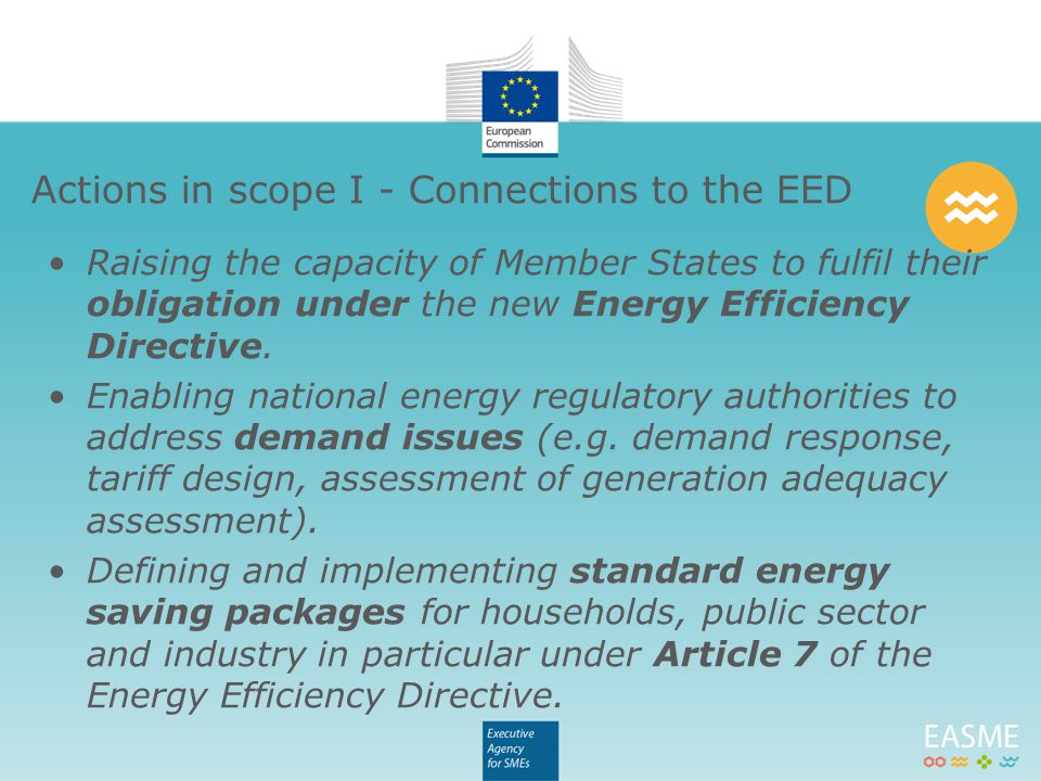 Raising the capacity of Member States to fulfil their obligation under the new Energy Efficiency Directive.