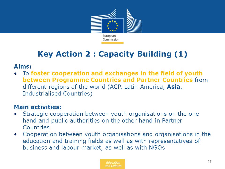 Education and Culture Aims: To foster cooperation and exchanges in the field of youth between Programme Countries and Partner Countries from different regions of the world (ACP, Latin America, Asia, Industrialised Countries) Main activities: Strategic cooperation between youth organisations on the one hand and public authorities on the other hand in Partner Countries Cooperation between youth organisations and organisations in the education and training fields as well as with representatives of business and labour market, as well as with NGOs Key Action 2 : Capacity Building (1) 11