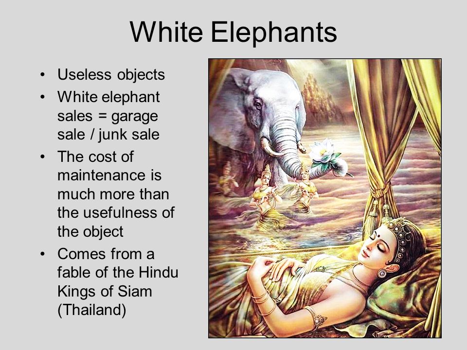 Hills Like White Elephants Essays