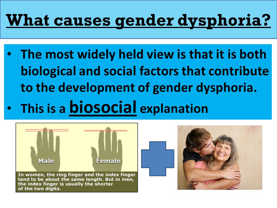gender identity paper essay gender identity paper essay