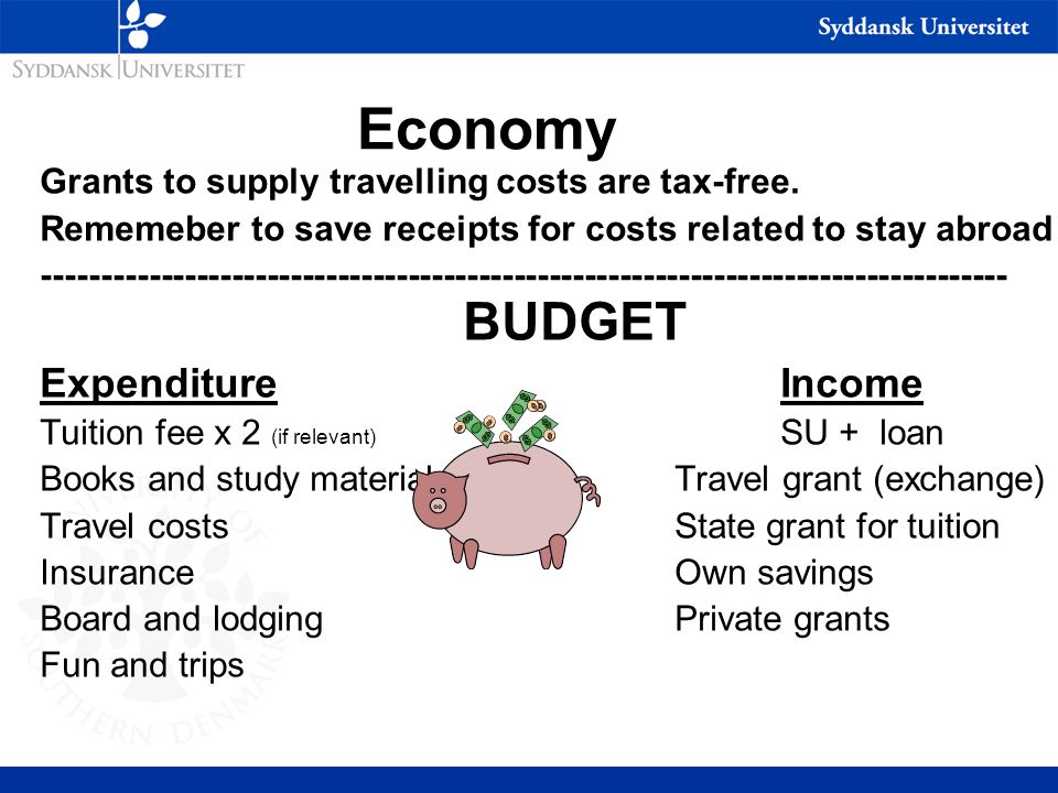 Economy Grants to supply travelling costs are tax-free.