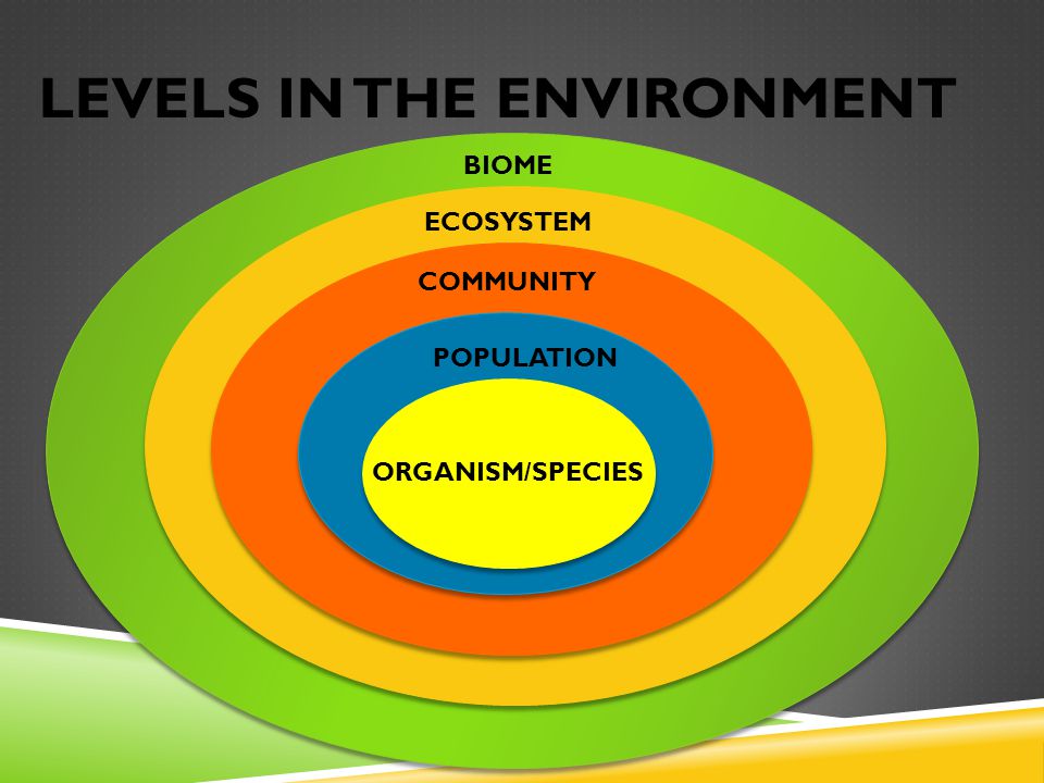 LEVELS IN THE ENVIRONMENT BIOME ECOSYSTEM COMMUNITY POPULATION ORGANISM/SPECIES