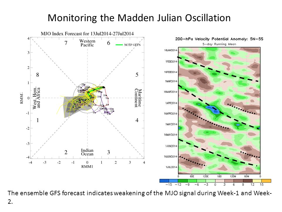 Time Longitude Monitoring the Madden Julian Oscillation The ensemble GFS forecast indicates weakening of the MJO signal during Week-1 and Week- 2.