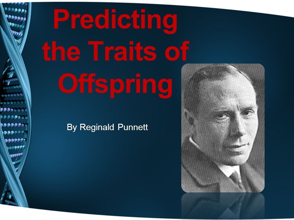 Predicting the Traits of Offspring By Reginald Punnett