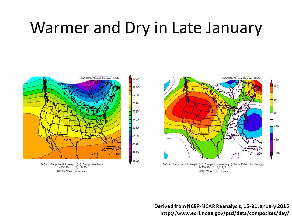 Warmer and Dry in Late January Derived from NCEP-NCAR Reanalysis, January