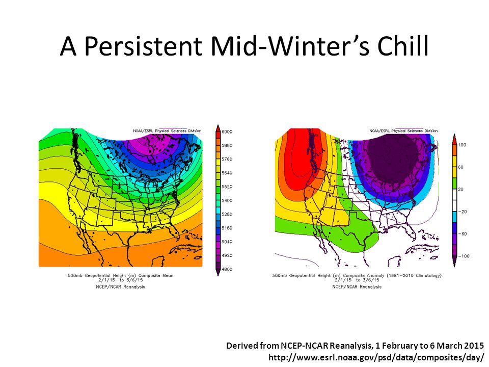 A Persistent Mid-Winter’s Chill Derived from NCEP-NCAR Reanalysis, 1 February to 6 March