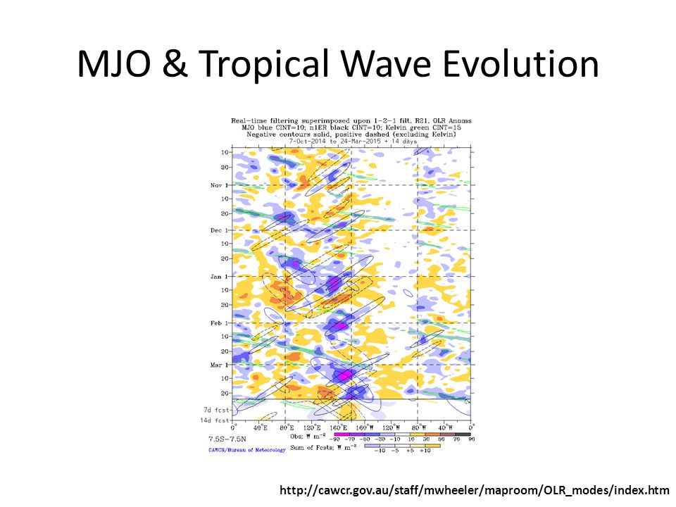MJO & Tropical Wave Evolution
