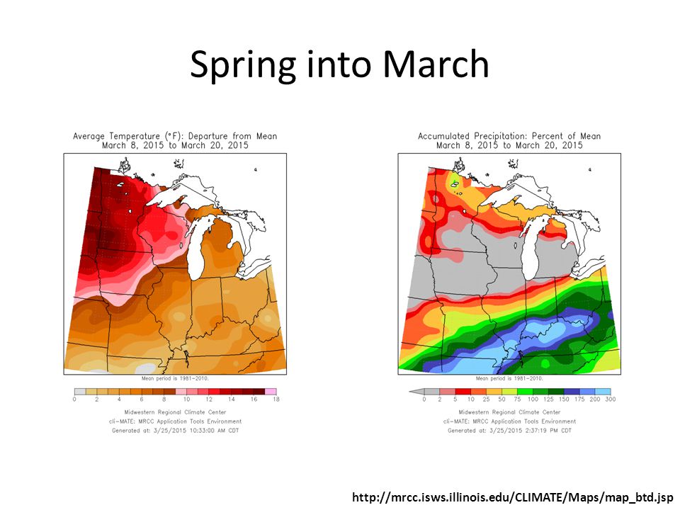 Spring into March