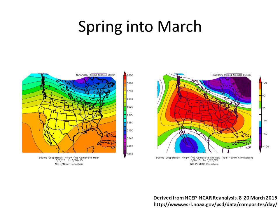 Spring into March Derived from NCEP-NCAR Reanalysis, 8-20 March