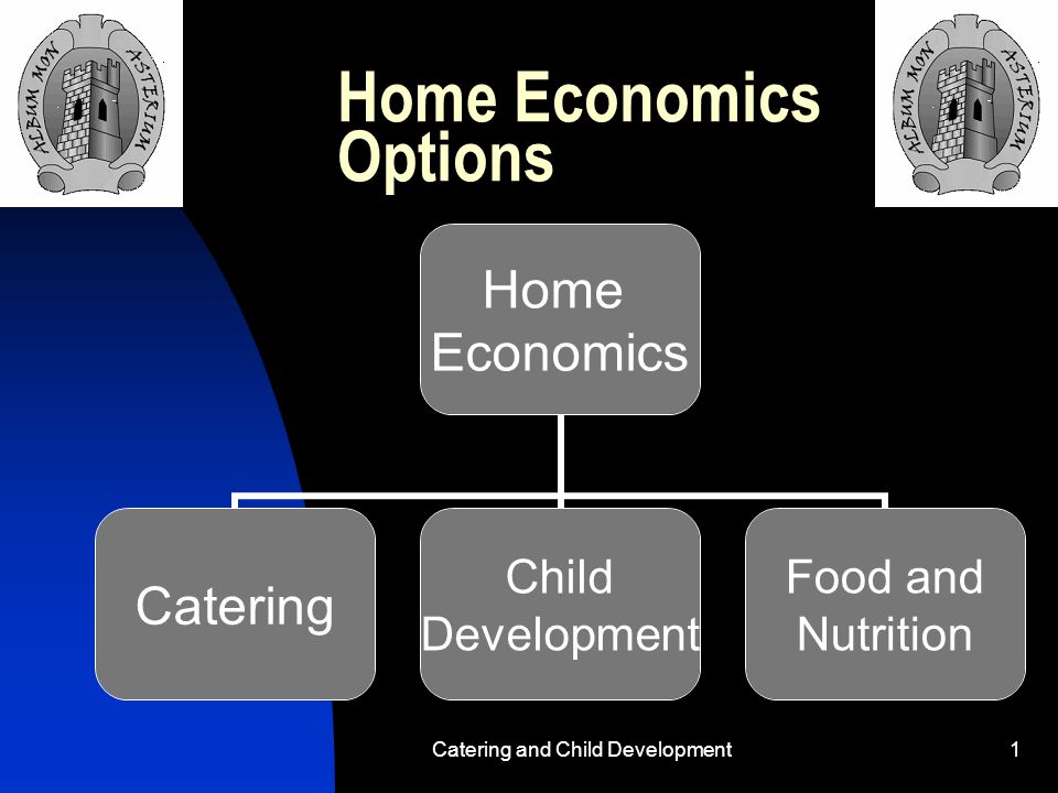 Catering and Child Development1 Home Economics Options Home Economics Catering Child Development Food and Nutrition