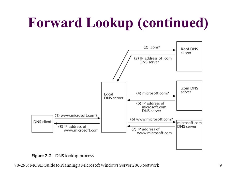 70-293: MCSE Guide to Planning a Microsoft Windows Server 2003 Network9 Forward Lookup (continued)