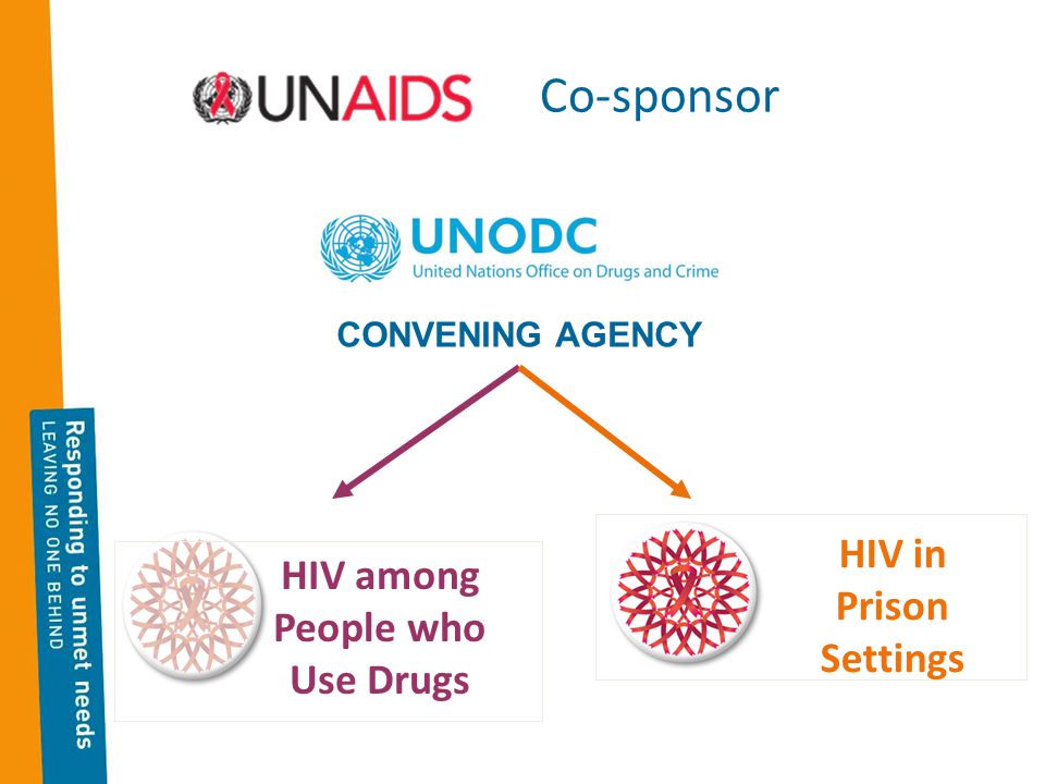 Co-sponsor HIV among People who Use Drugs HIV in Prison Settings CONVENING AGENCY