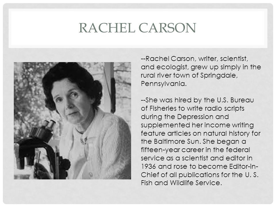 rachel carson the marginal world This is a line taken from rachel carson's the marginal world here she talks about 'edge of the sea', which is actually the intertidal region which she says now belongs to land, now to the sea the area is also called littoral zone. rachel carson the marginal world This is a line taken from rachel carson's the marginal world here she talks about 'edge of the sea', which is actually the intertidal region which she says now belongs to land, now to the sea the area is also called littoral zone.