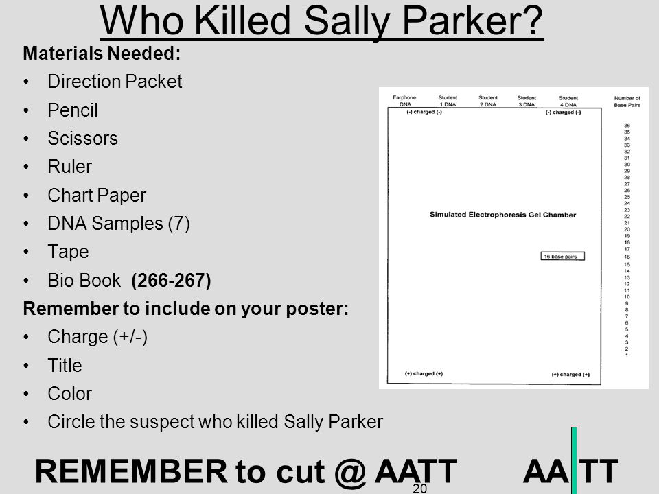 Who Killed Sally Parker.