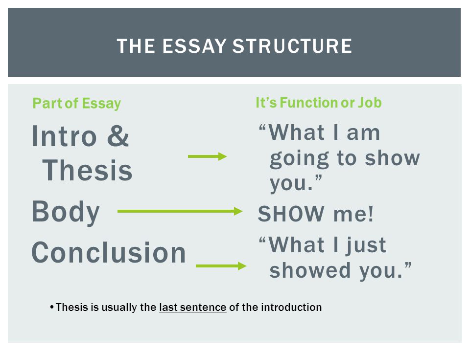 Phobia Essay