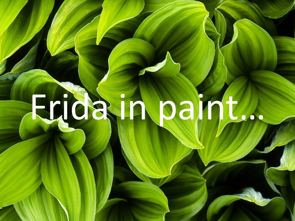 Frida in paint…