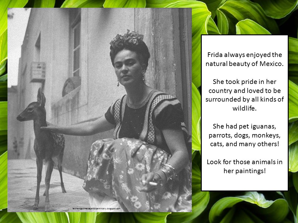 Frida always enjoyed the natural beauty of Mexico.