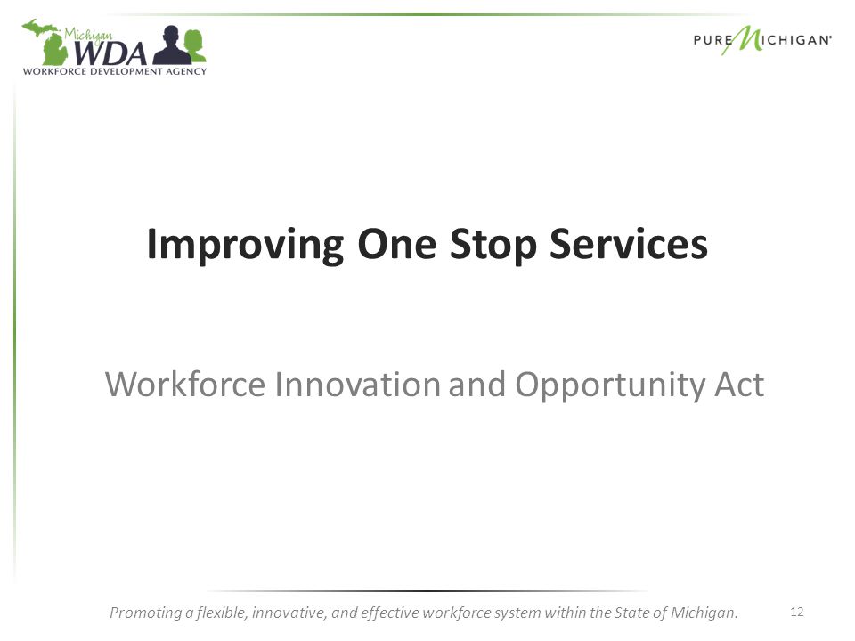 Promoting a flexible, innovative, and effective workforce system within the State of Michigan.