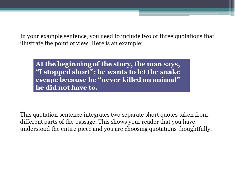 Point Of View Essay Topics