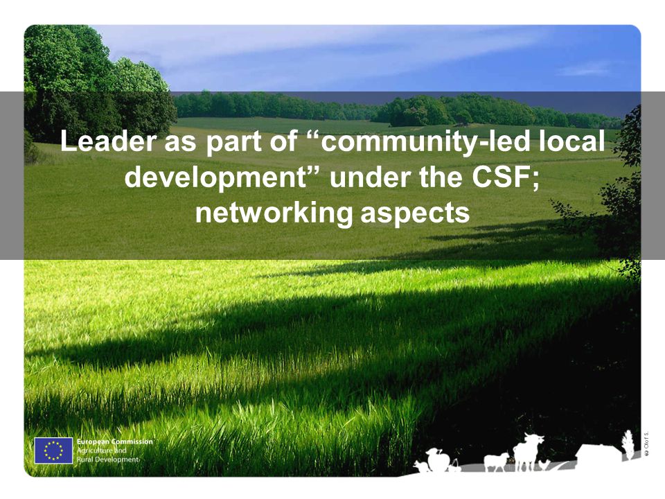 Ⓒ Olof S. Leader as part of community-led local development under the CSF; networking aspects