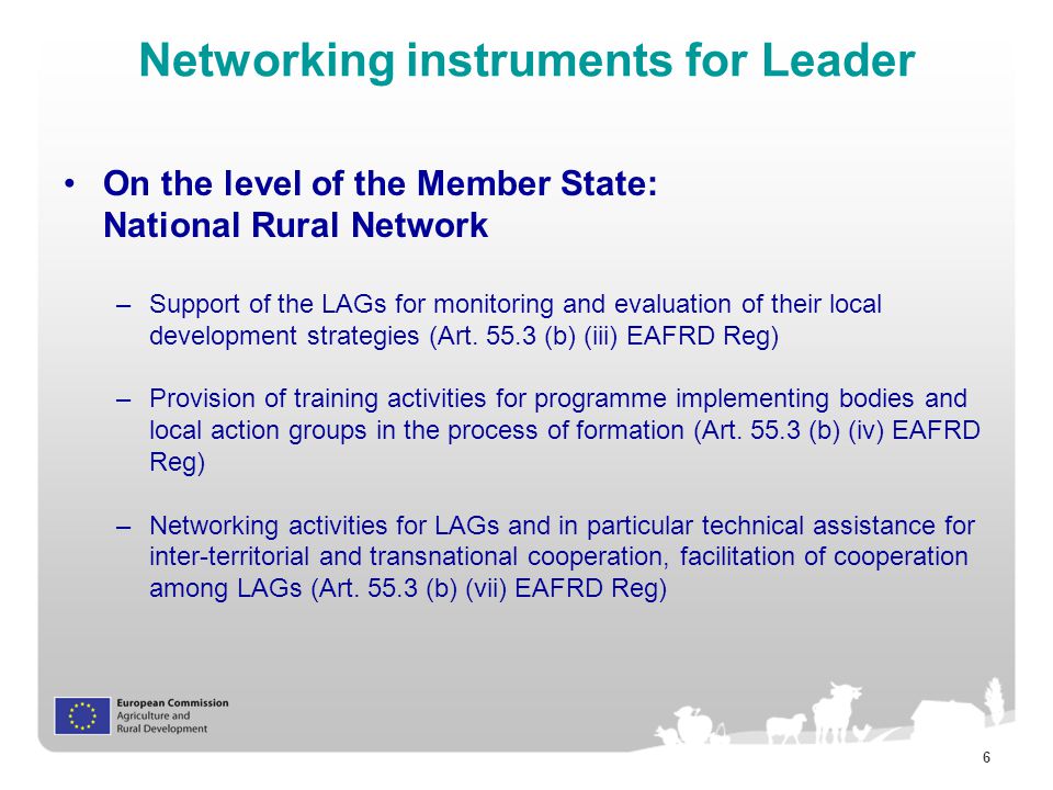 6 Networking instruments for Leader On the level of the Member State: National Rural Network –Support of the LAGs for monitoring and evaluation of their local development strategies (Art.