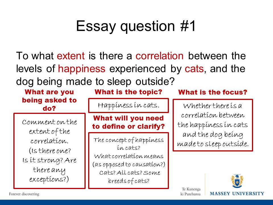 The 3 defining features of a great essay | Bookboon Blog