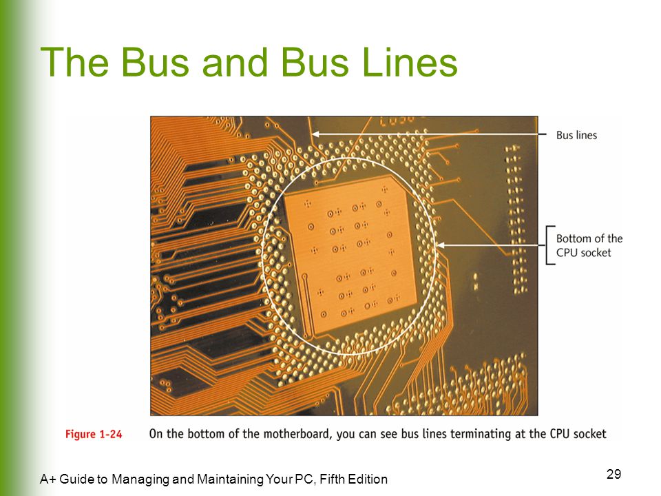 29 A+ Guide to Managing and Maintaining Your PC, Fifth Edition The Bus and Bus Lines