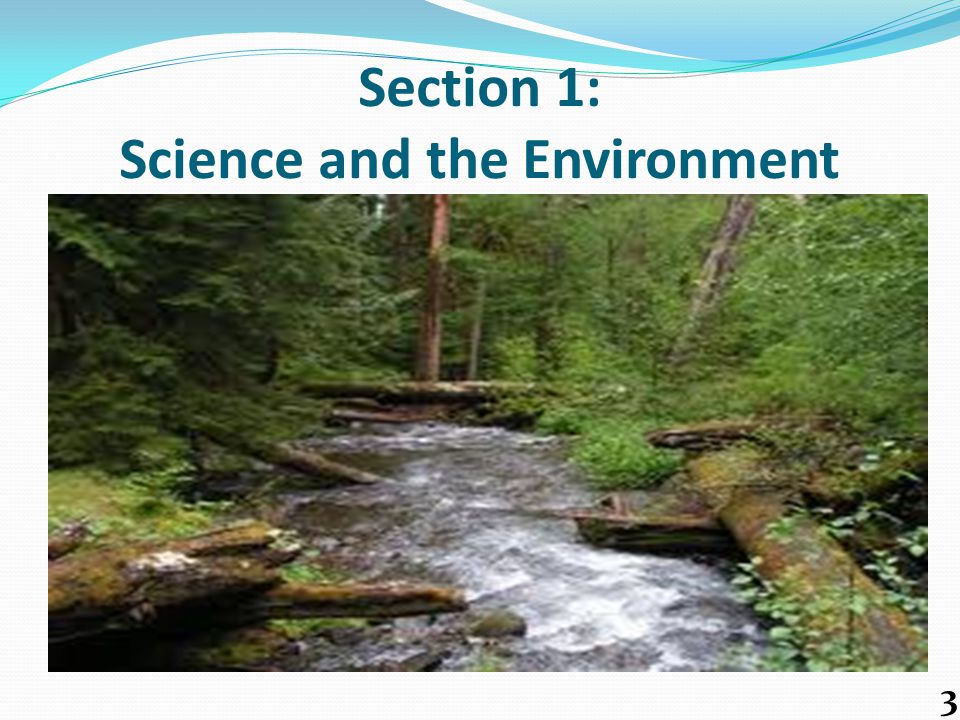 Essay Writing From Us Is A Great Service That Will Help You Nature And Man Relation Of Humankind With Nature Short Essay John Muir Circa