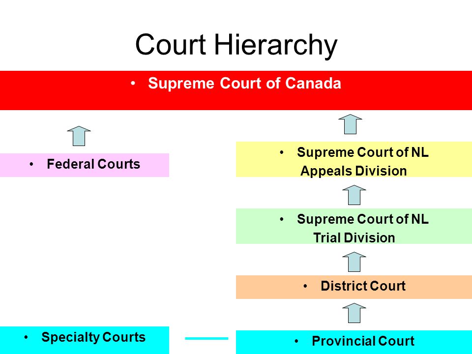 hierarchy court hierarchy court