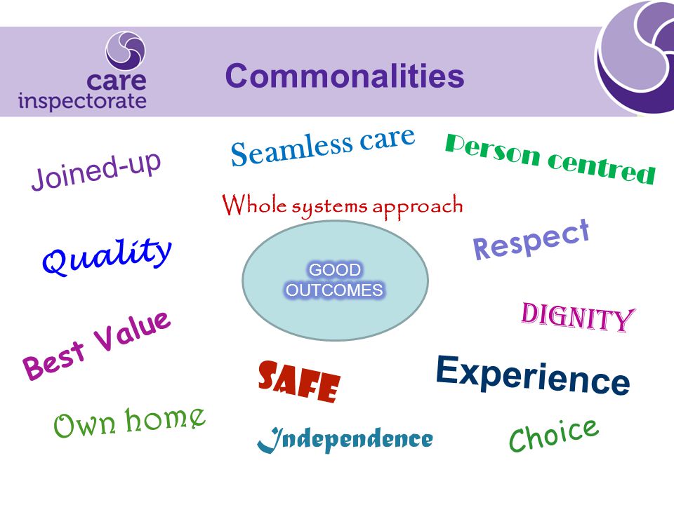 Commonalities Joined-up Seamless care Whole systems approach Person centred Respect Dignity Choice Safe Independence Own home Best Value Quality Experience