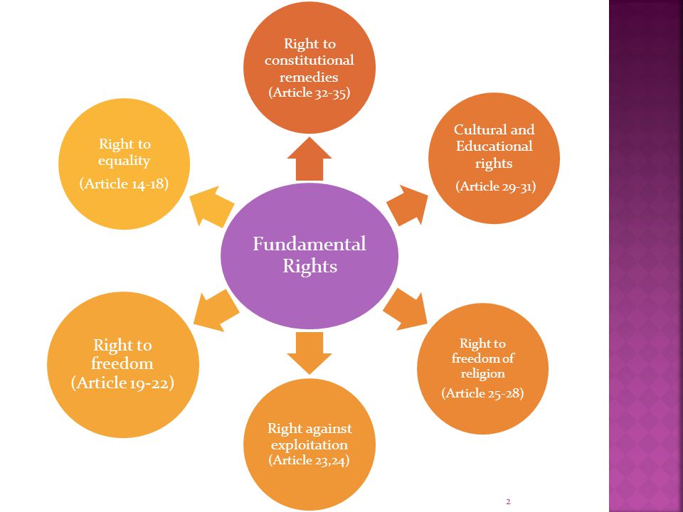 Individual Rights Essay