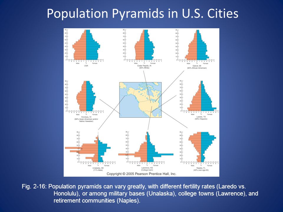 Population Pyramids in U.S. Cities Fig.