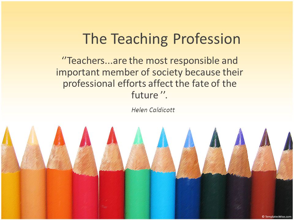 About Teachers Essay